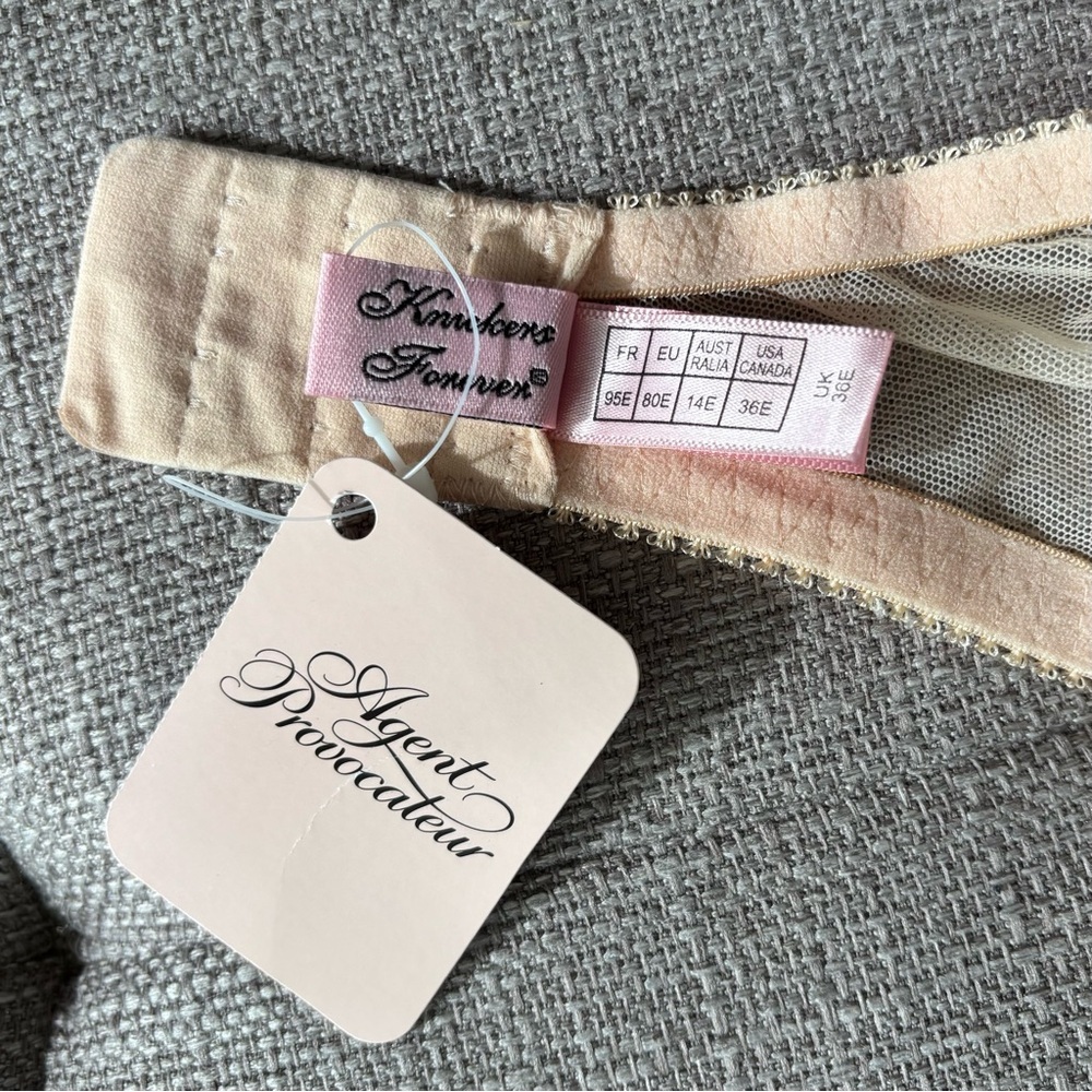 NWT Agent Provocateur Darla Bra 36E and Panties 4 (L) Brief Set of 2 Champagne - Picture 7 of 9